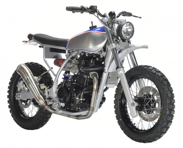 Kawasaki KLR650 Scrambler 2