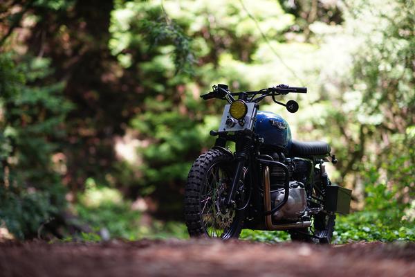 Triumph T100 Scrambler